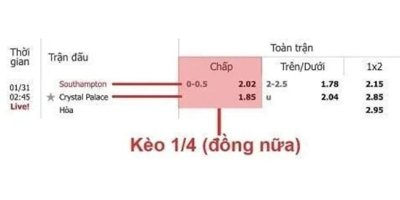 keo-dong-banh-nua-trai-vi-du